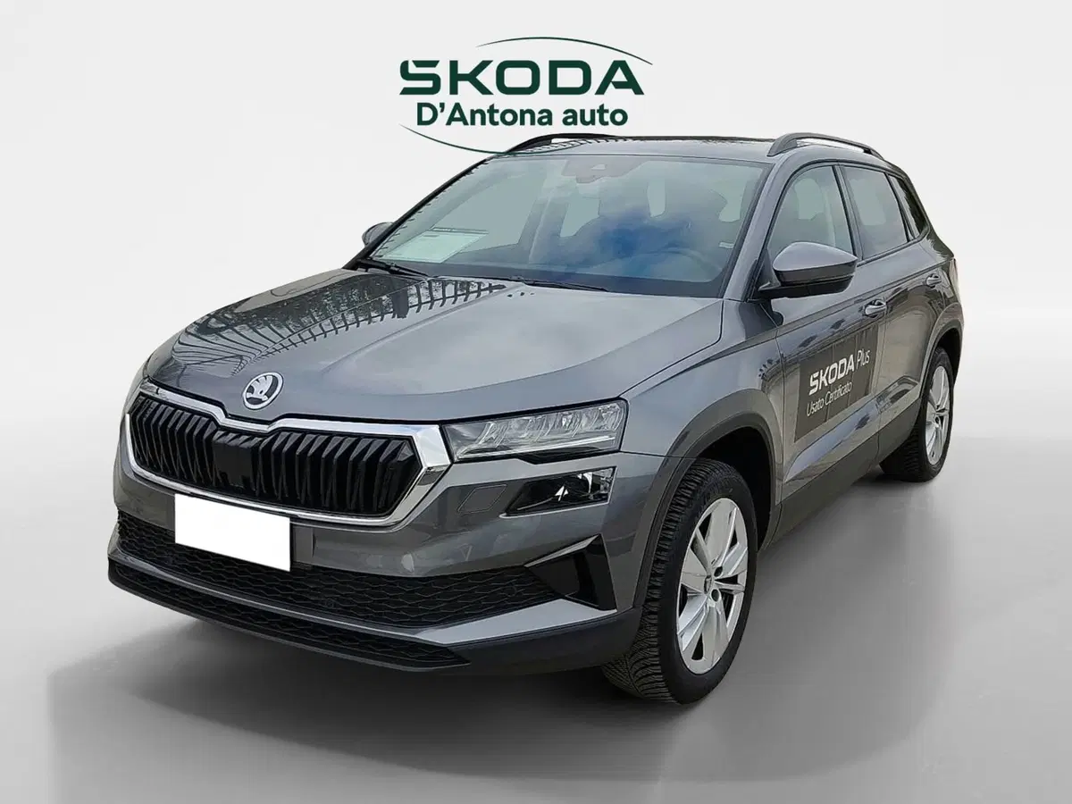 Skoda Karoq usata a Taranto (2)