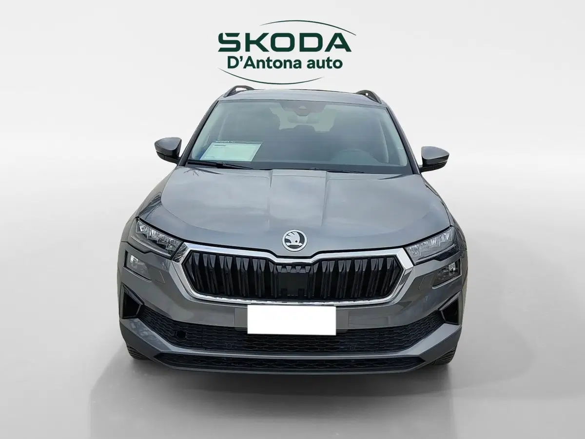 Skoda Karoq usata a Taranto (3)