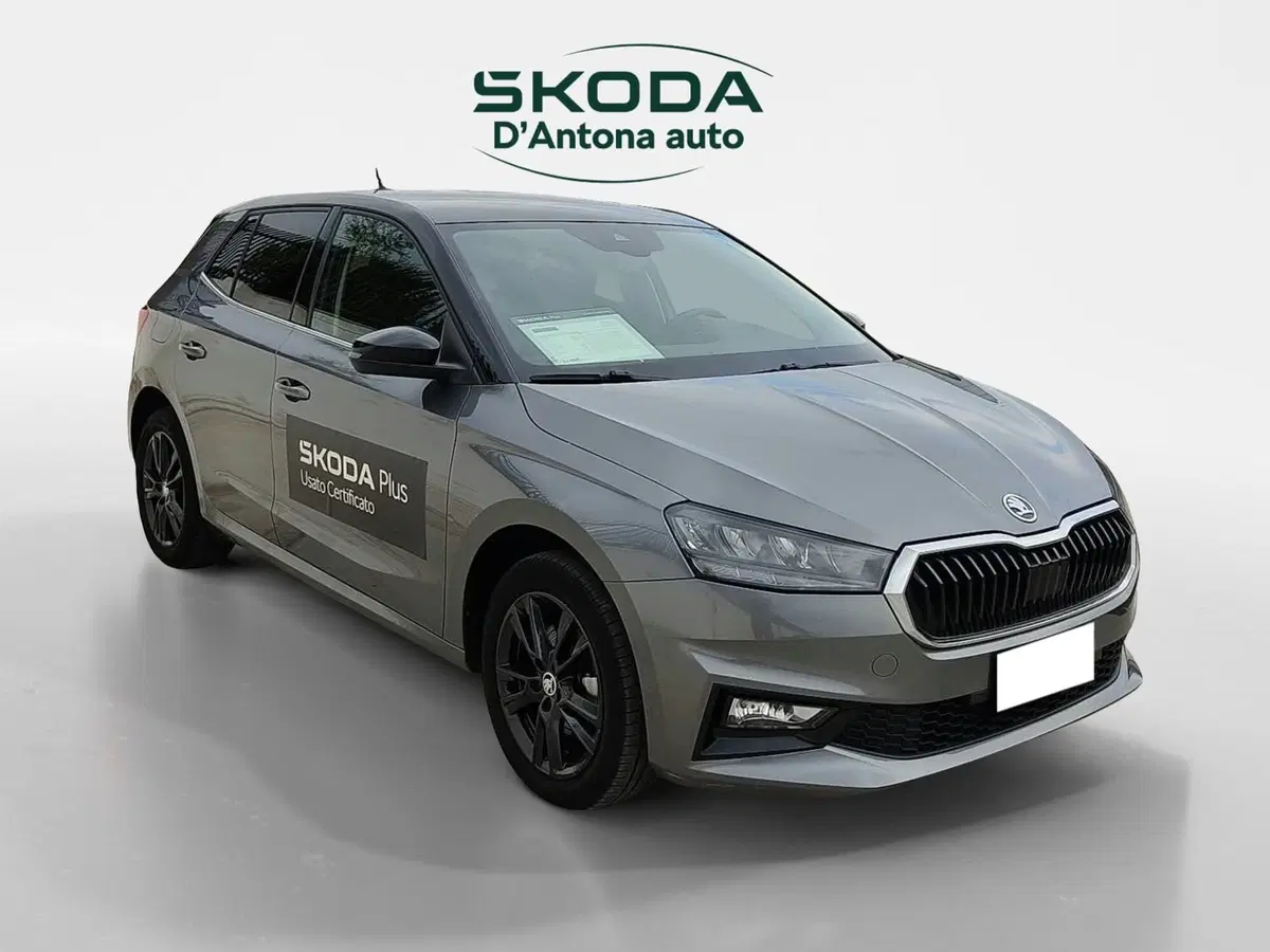Skoda Fabia usata a Taranto