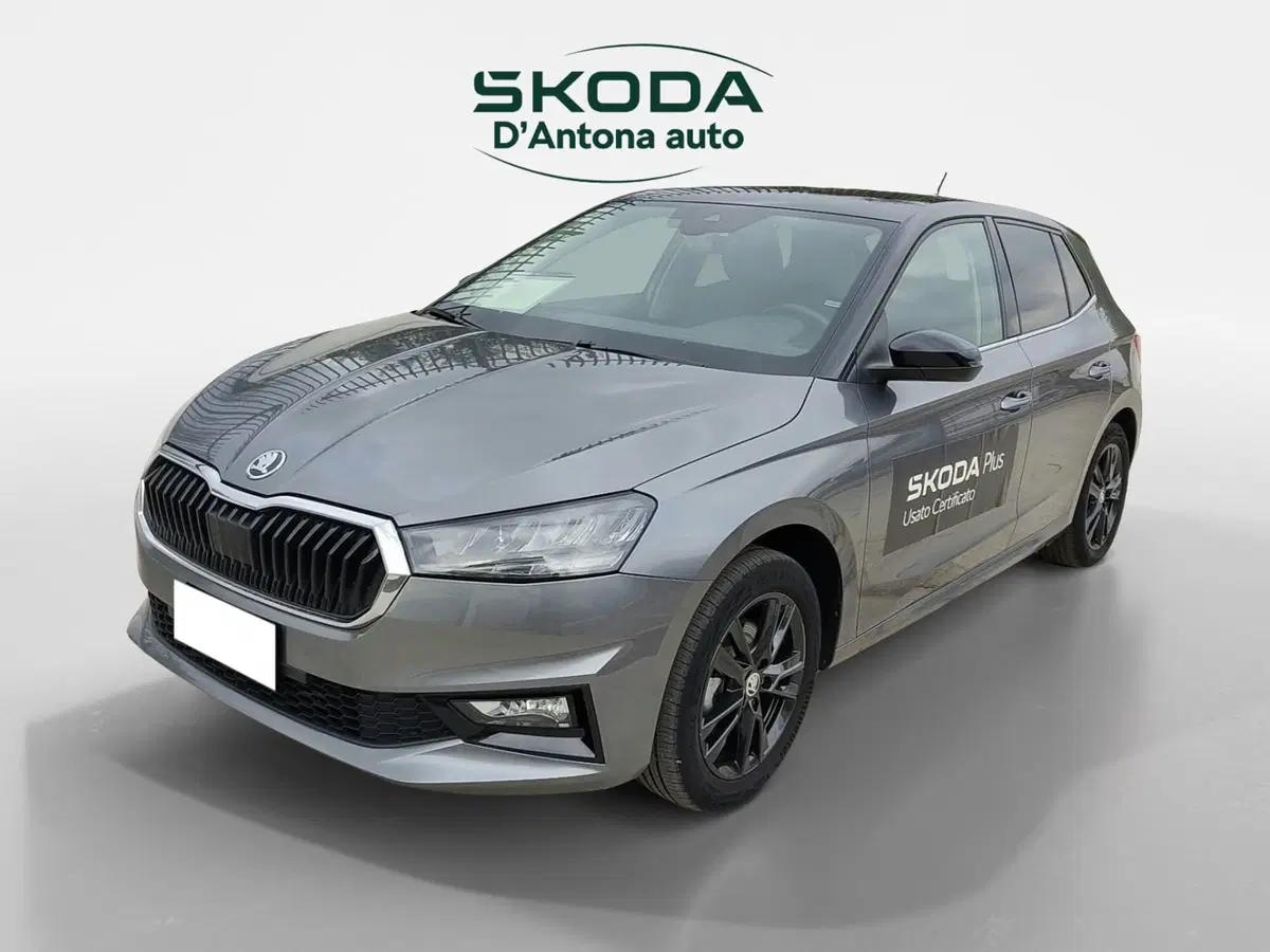 Skoda Fabia usata a Taranto (5)
