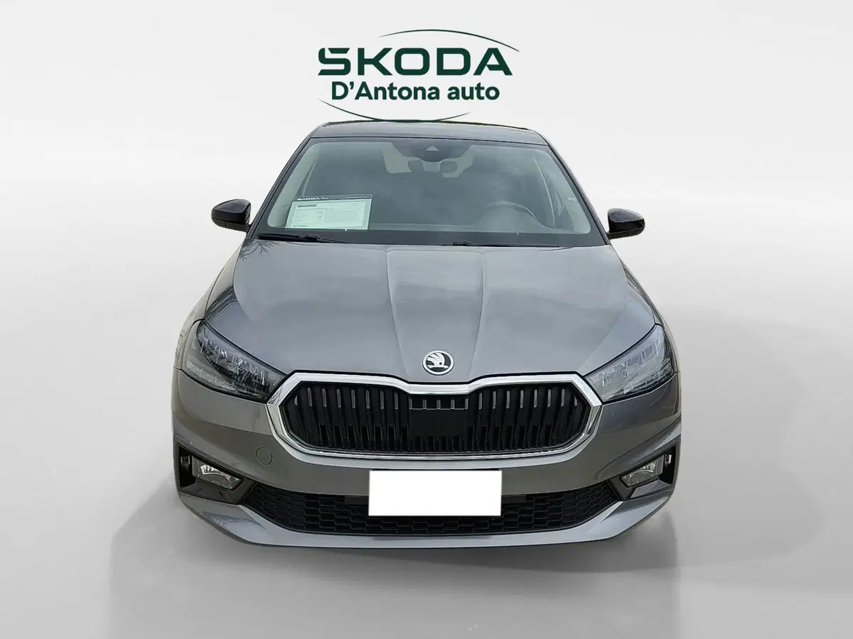 Skoda Fabia usata a Taranto (6)