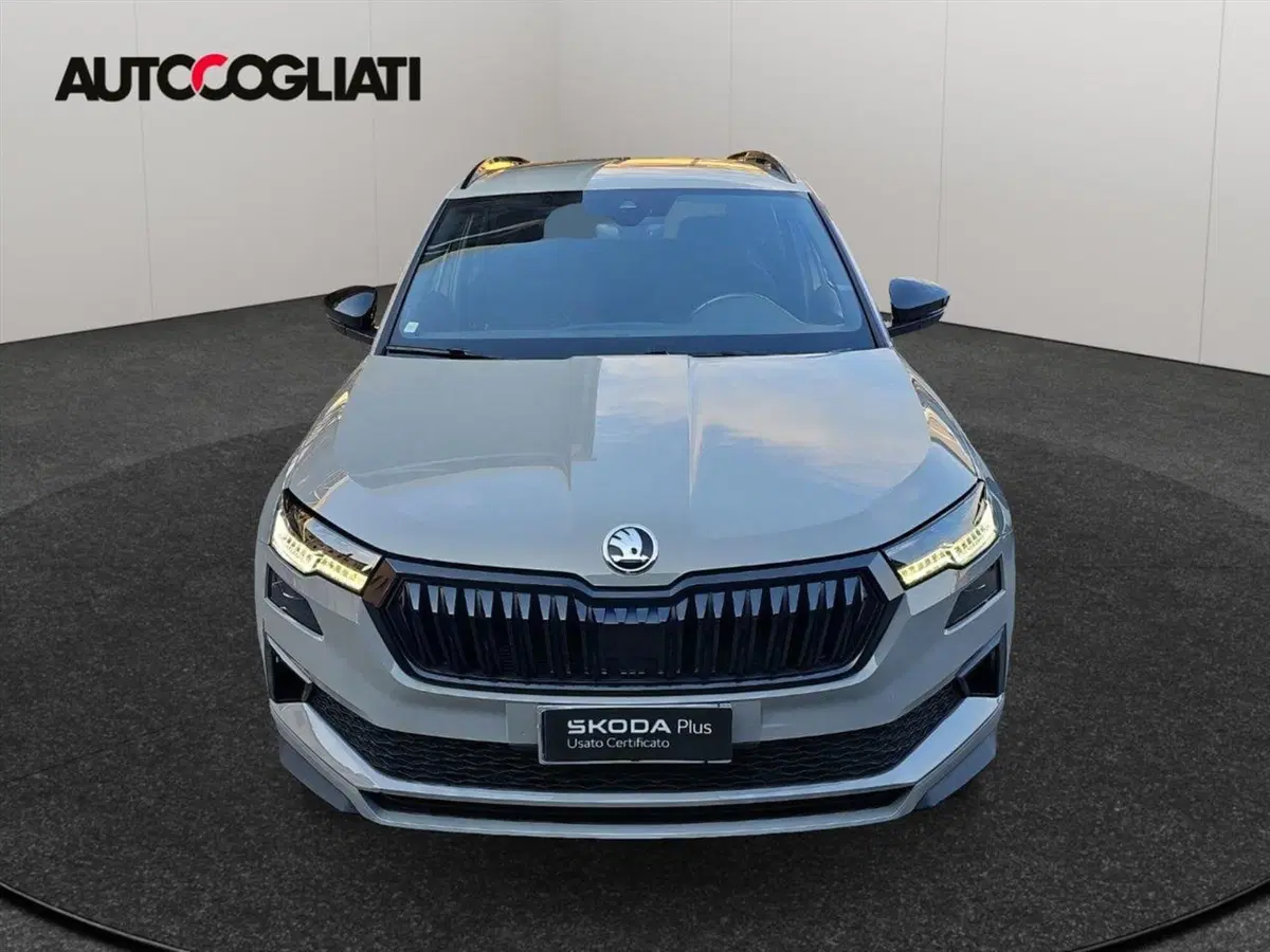 Skoda Karoq usata a Lecco (2)