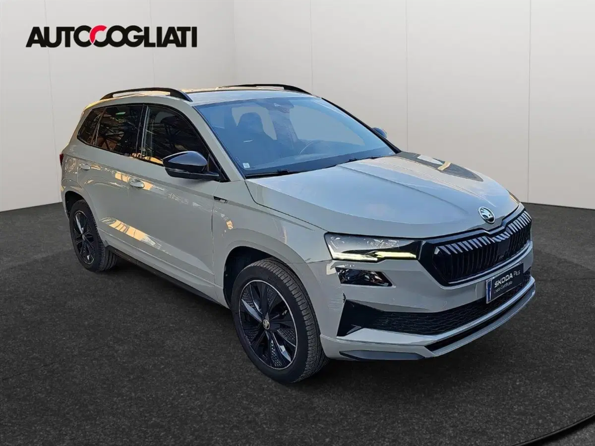 Skoda Karoq usata a Lecco (3)