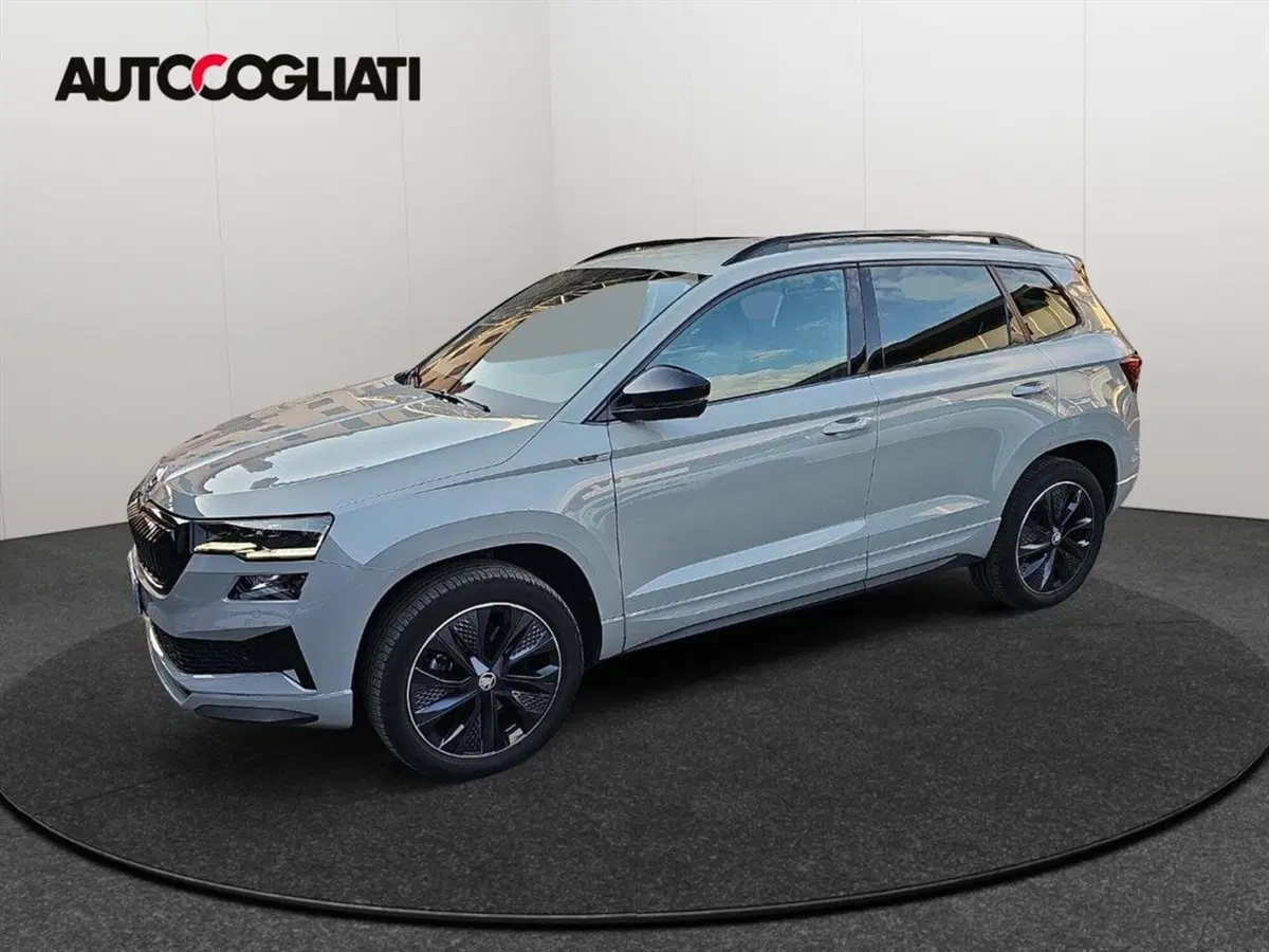 Skoda Karoq usata a Lecco (4)
