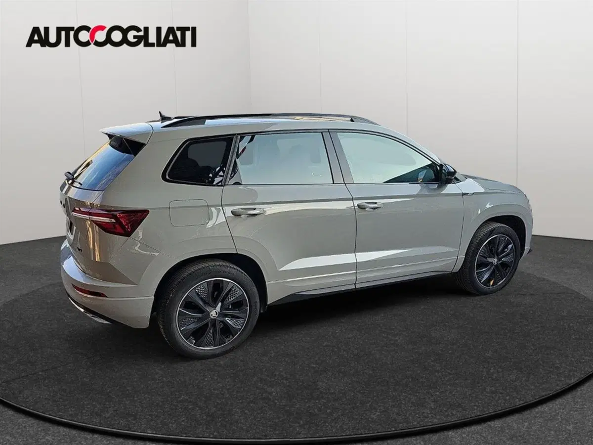 Skoda Karoq usata a Lecco (5)
