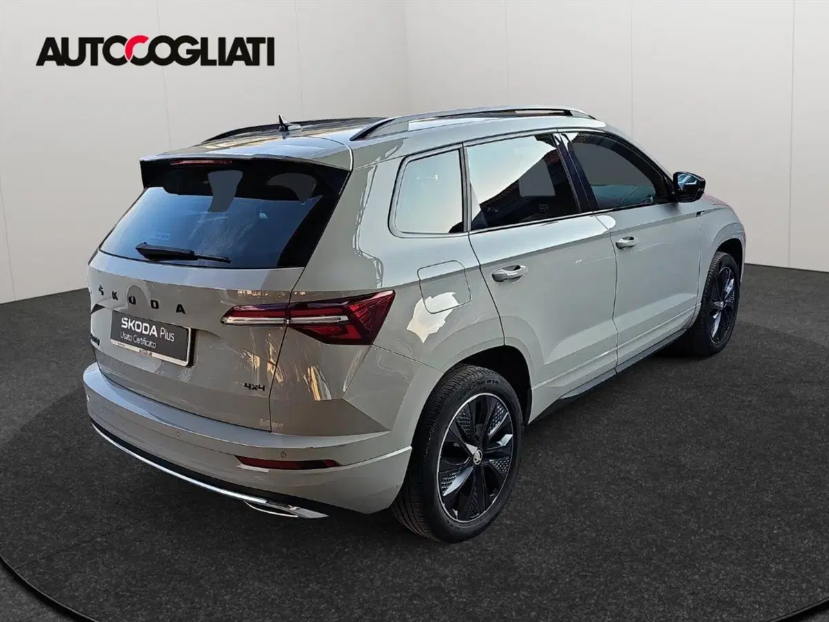 Skoda Karoq usata a Lecco (8)