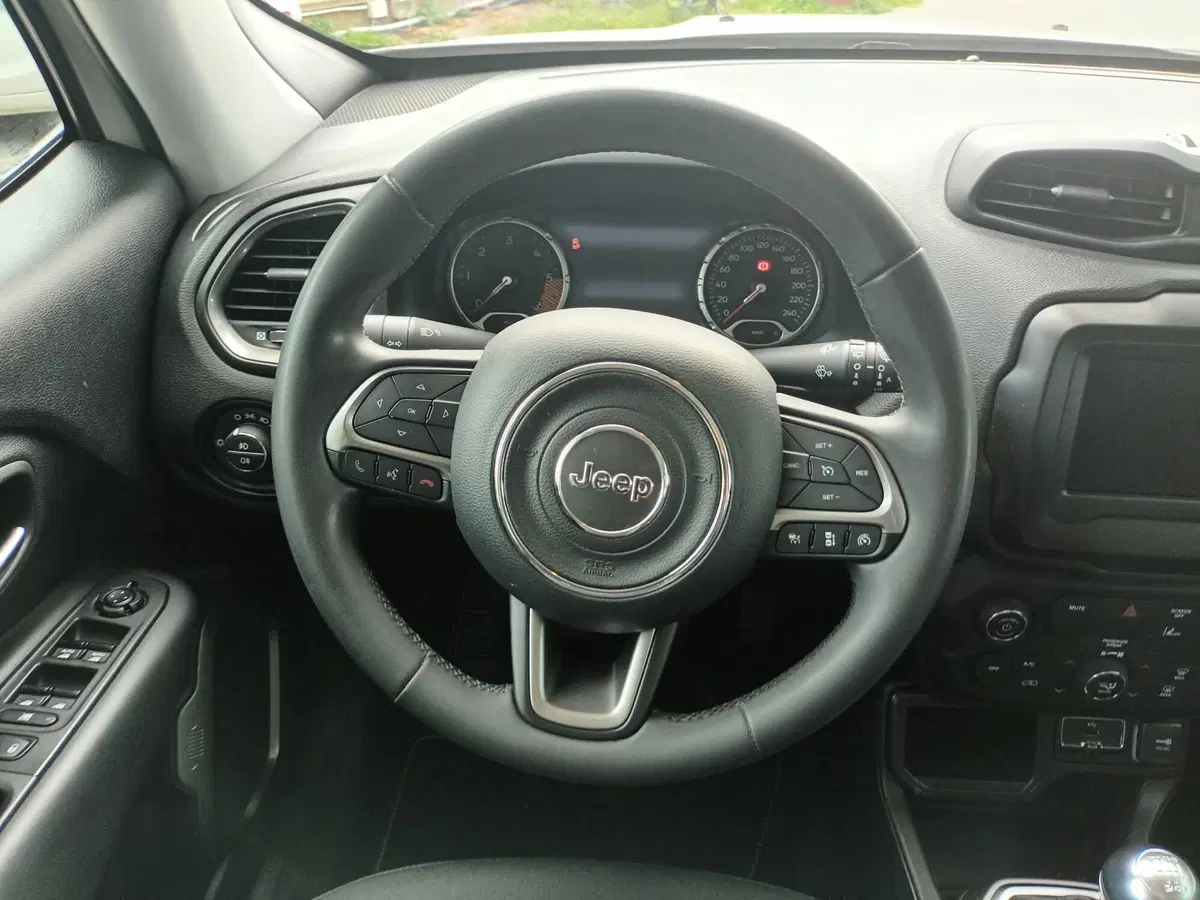 Jeep Renegade usata a Bari (2)