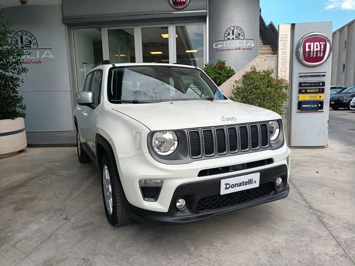 Jeep Renegade usata a Bari (8)