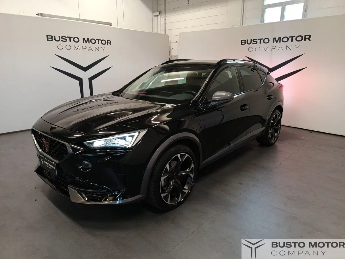 Cupra Formentor usata a Varese (3)