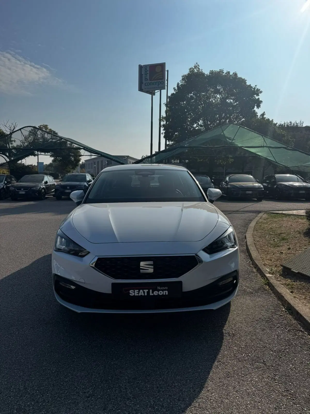 SEAT Leon nuova a Bologna (5)