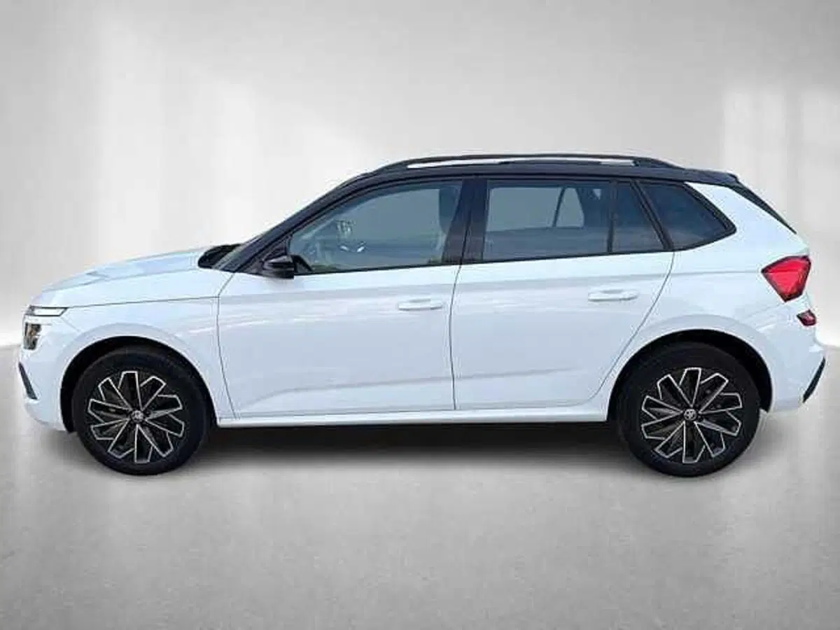 Skoda Kamiq usata a Ravenna (3)