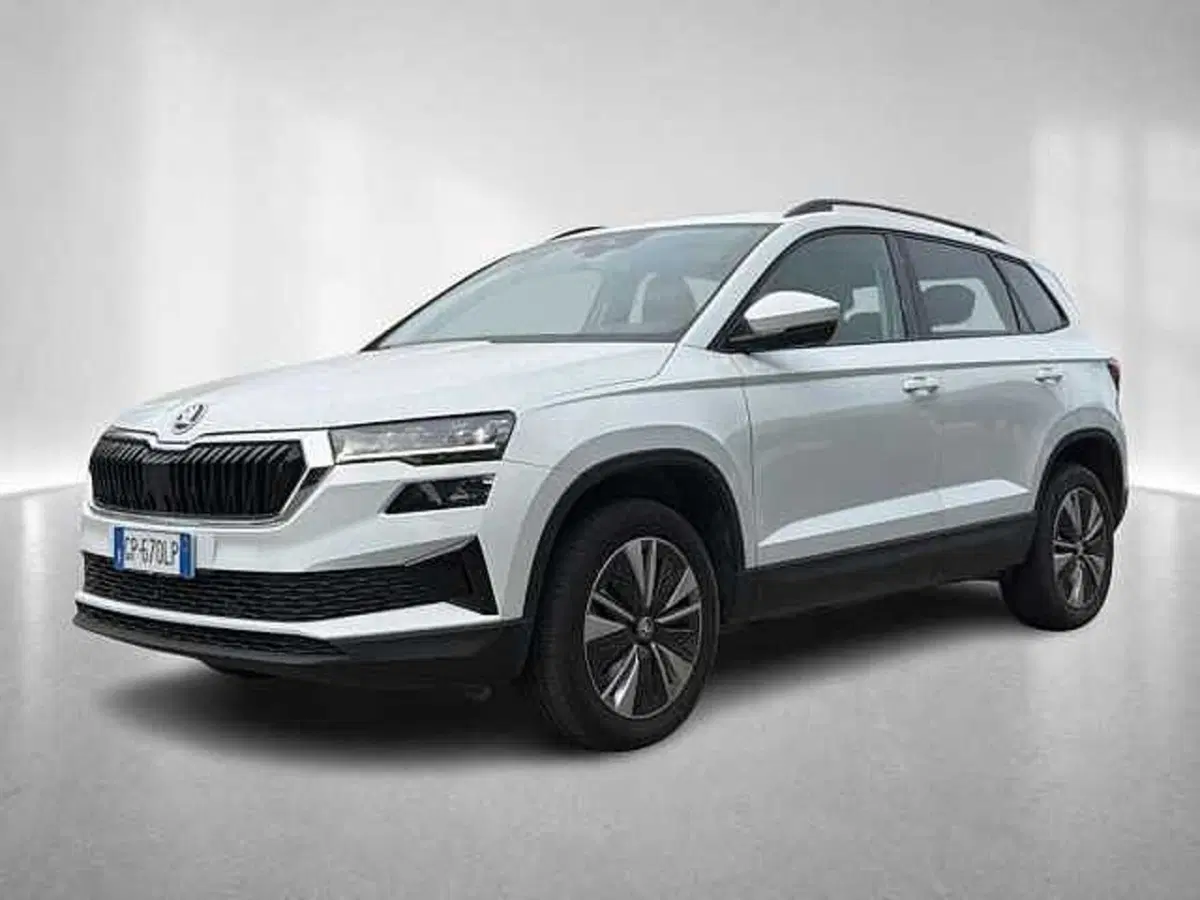Skoda Karoq usata a Ravenna