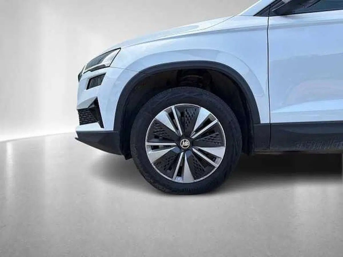 Skoda Karoq usata a Ravenna (10)