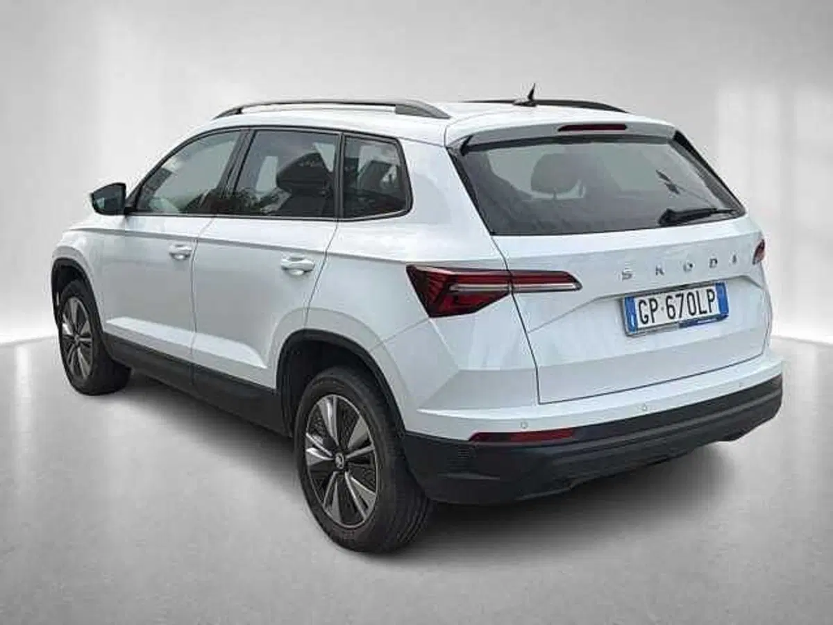Skoda Karoq usata a Ravenna (2)