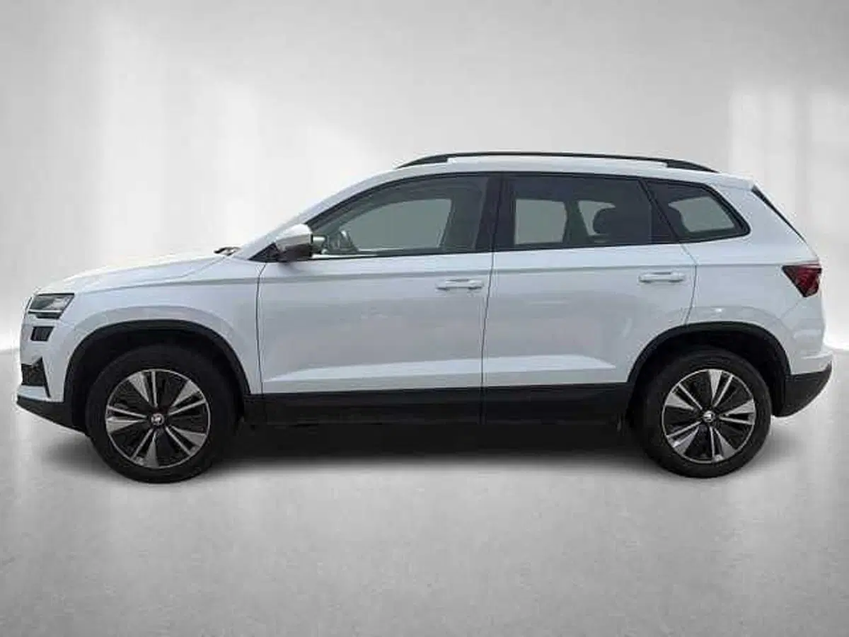 Skoda Karoq usata a Ravenna (3)