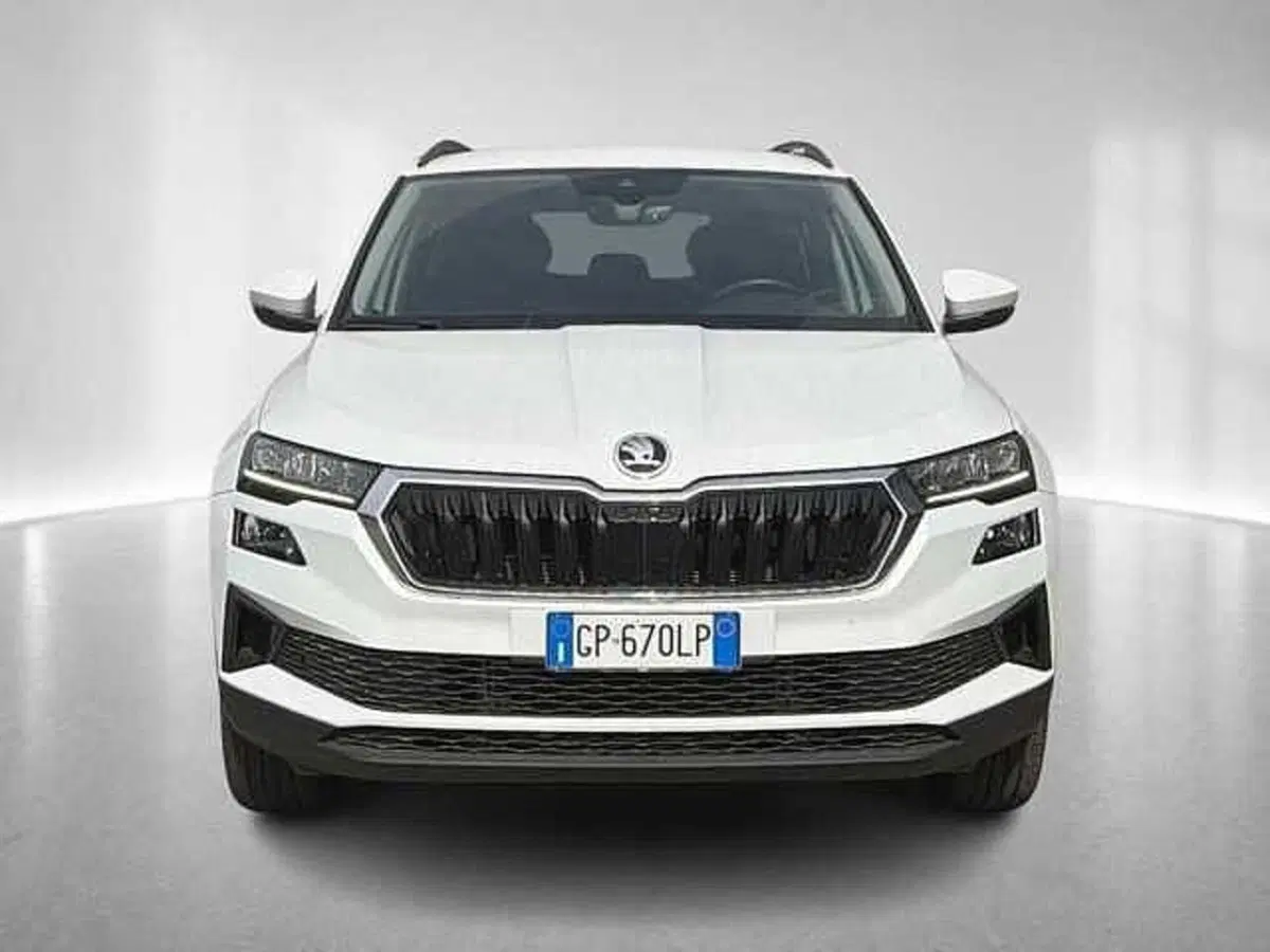 Skoda Karoq usata a Ravenna (9)