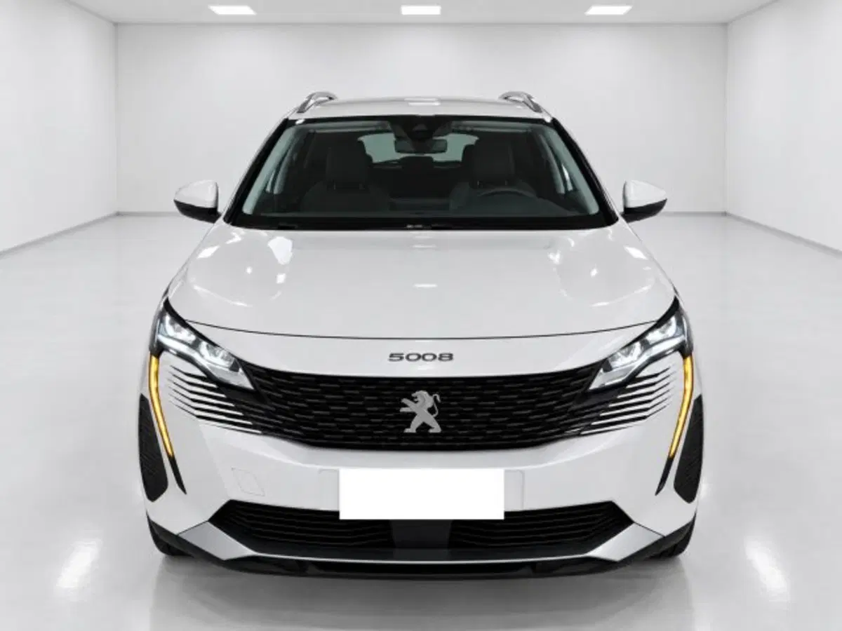 Peugeot 5008 usata a Firenze (3)