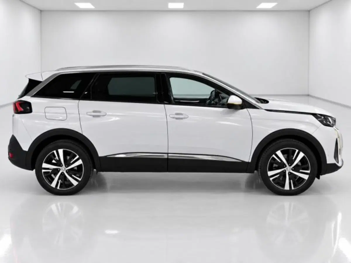 Peugeot 5008 usata a Firenze (4)