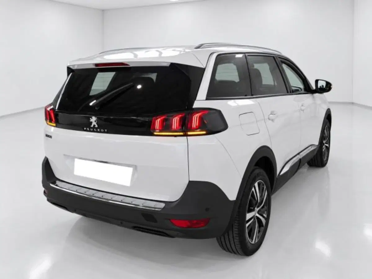 Peugeot 5008 usata a Firenze (5)