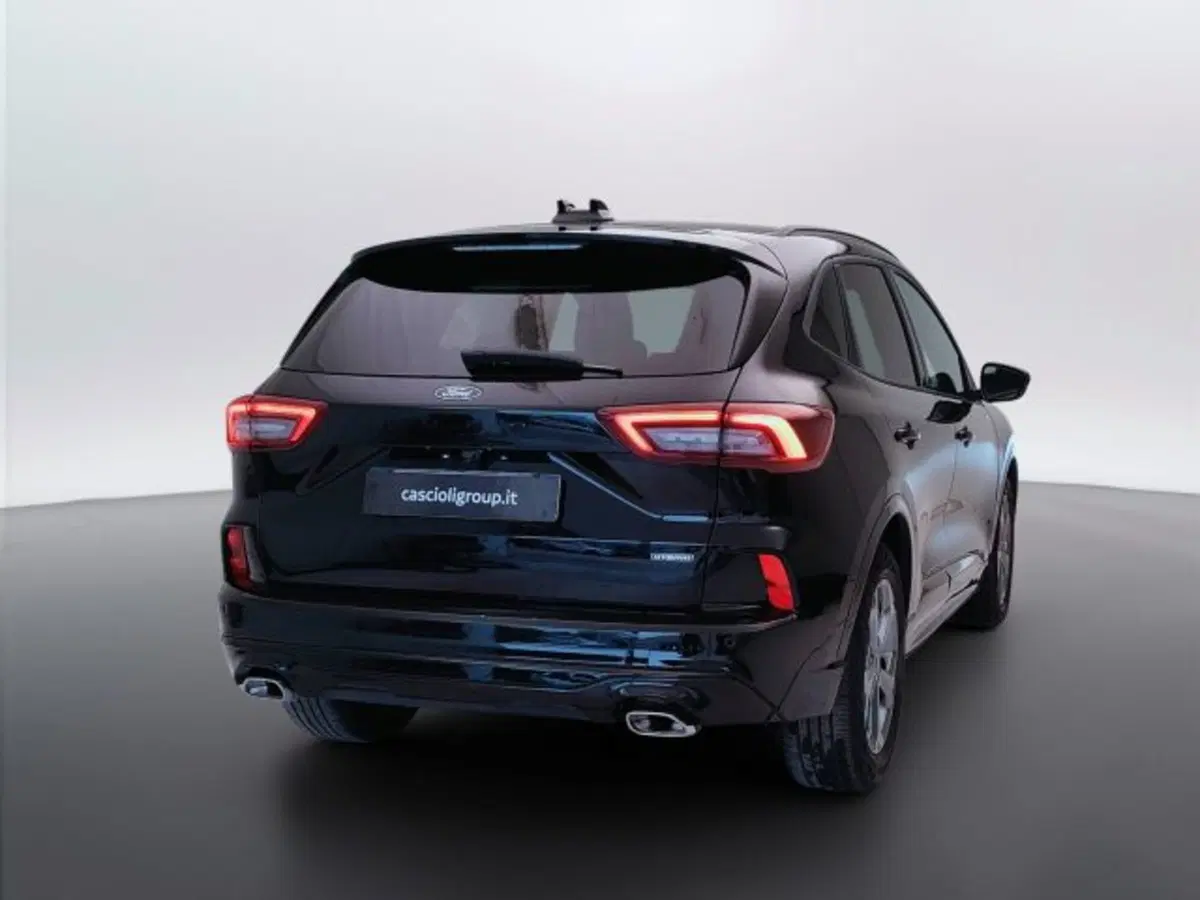 Ford Kuga usata a Teramo (5)