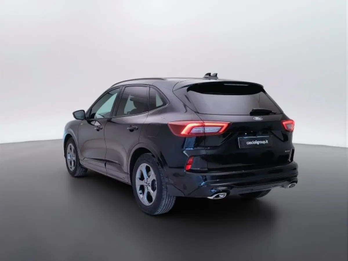 Ford Kuga usata a Teramo (7)