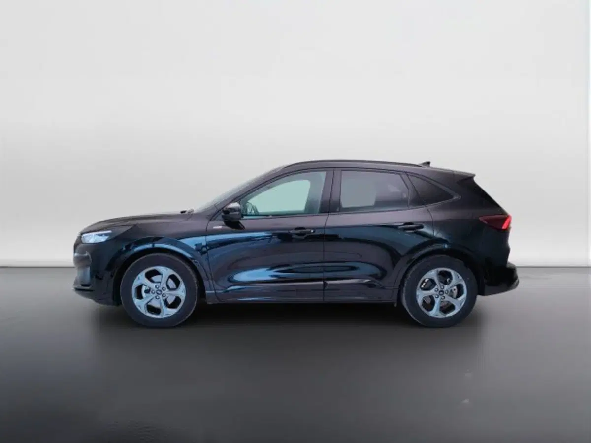 Ford Kuga usata a Teramo (8)