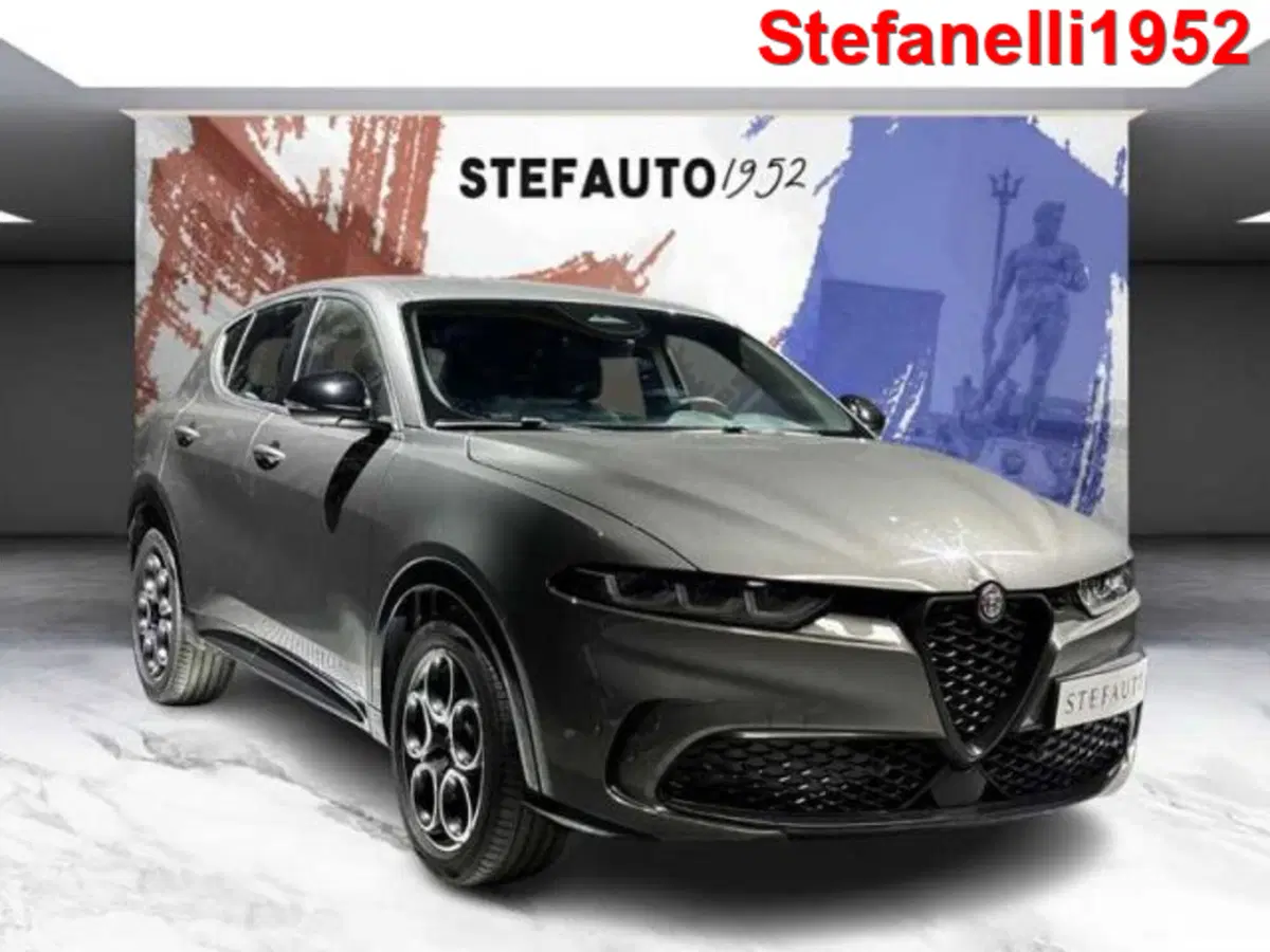Alfa Romeo Tonale usata a Bologna