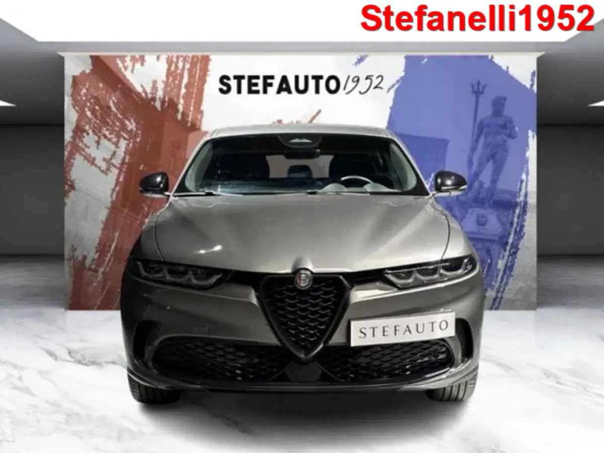 Alfa Romeo Tonale usata a Bologna (2)