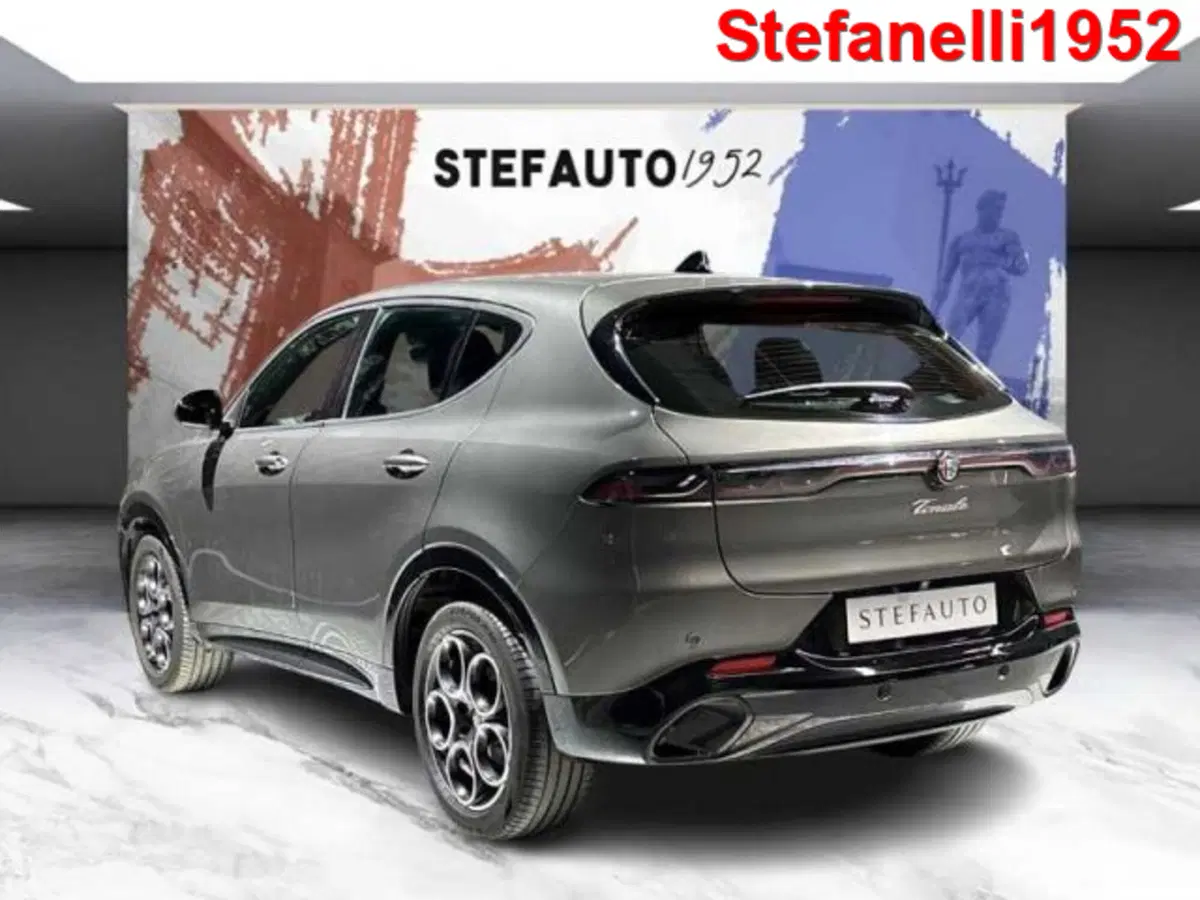 Alfa Romeo Tonale usata a Bologna (5)