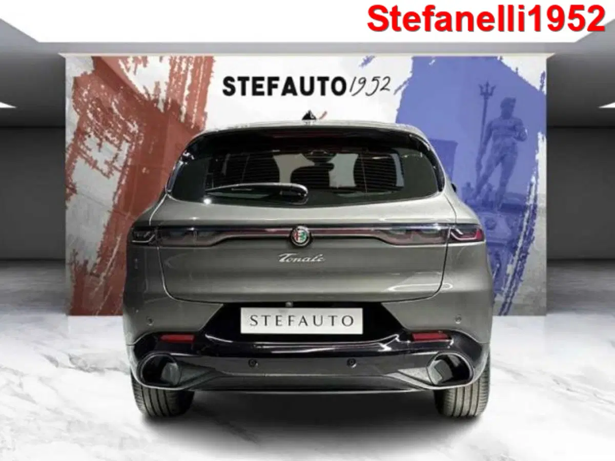Alfa Romeo Tonale usata a Bologna (6)