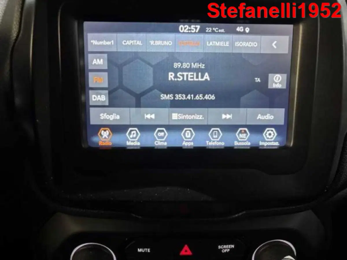 Jeep Renegade usata a Bologna (18)