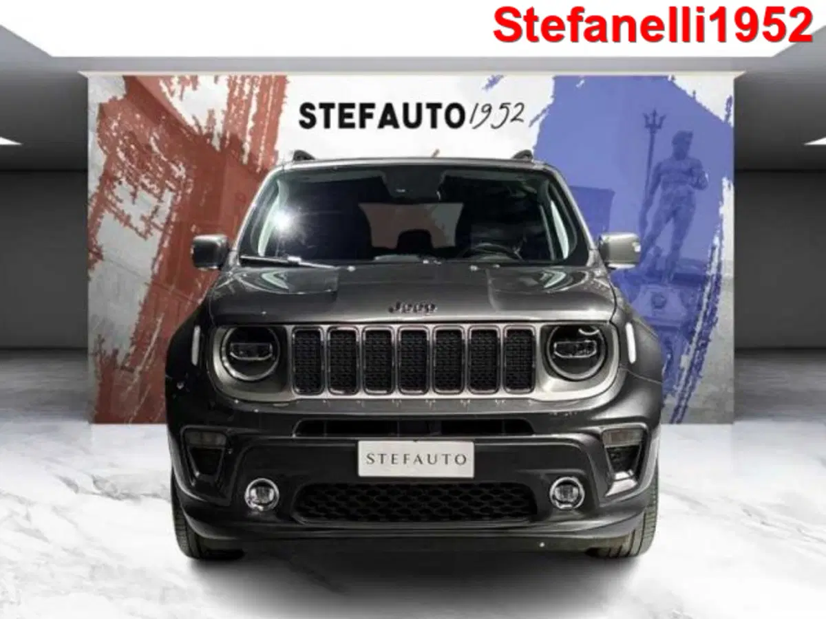 Jeep Renegade usata a Bologna (2)