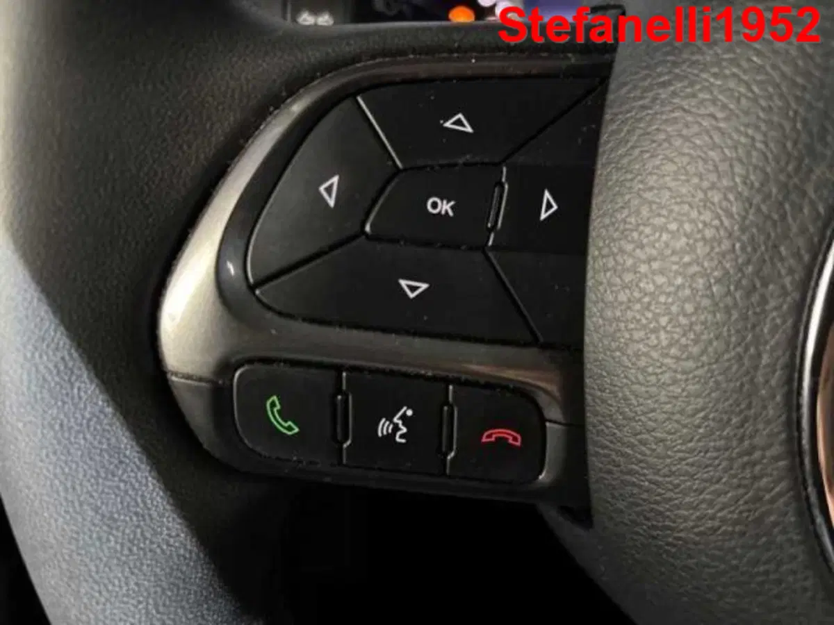 Jeep Renegade usata a Bologna (20)