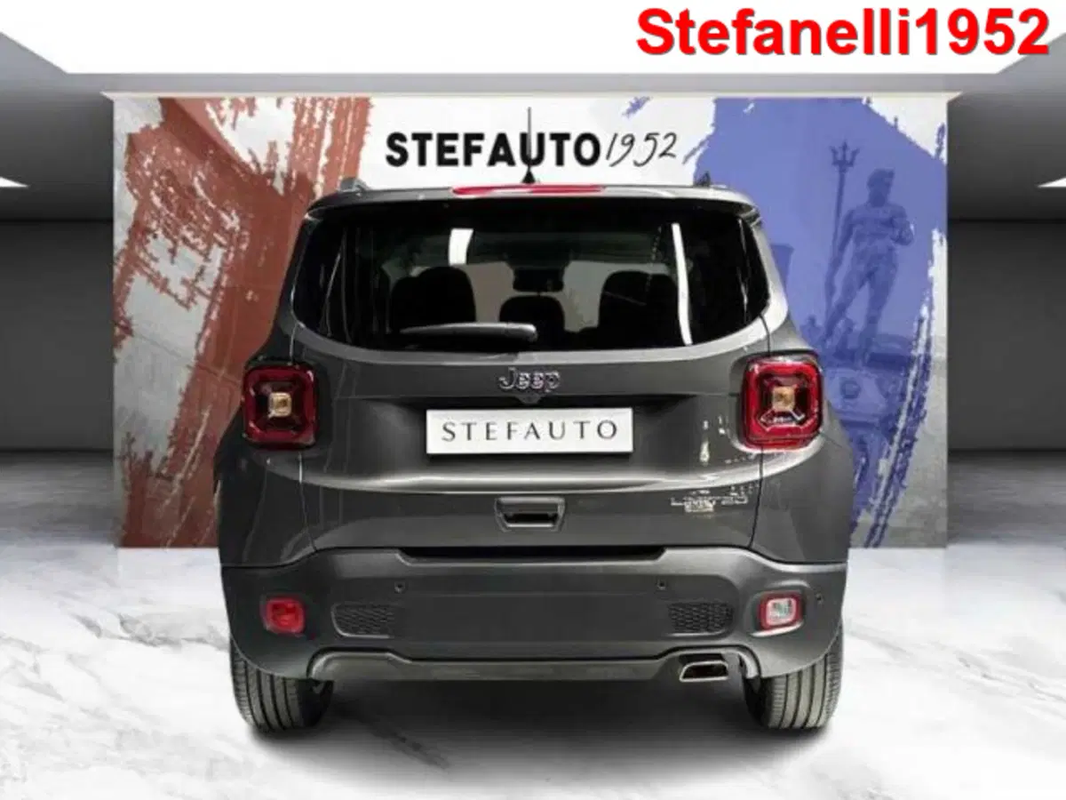 Jeep Renegade usata a Bologna (6)
