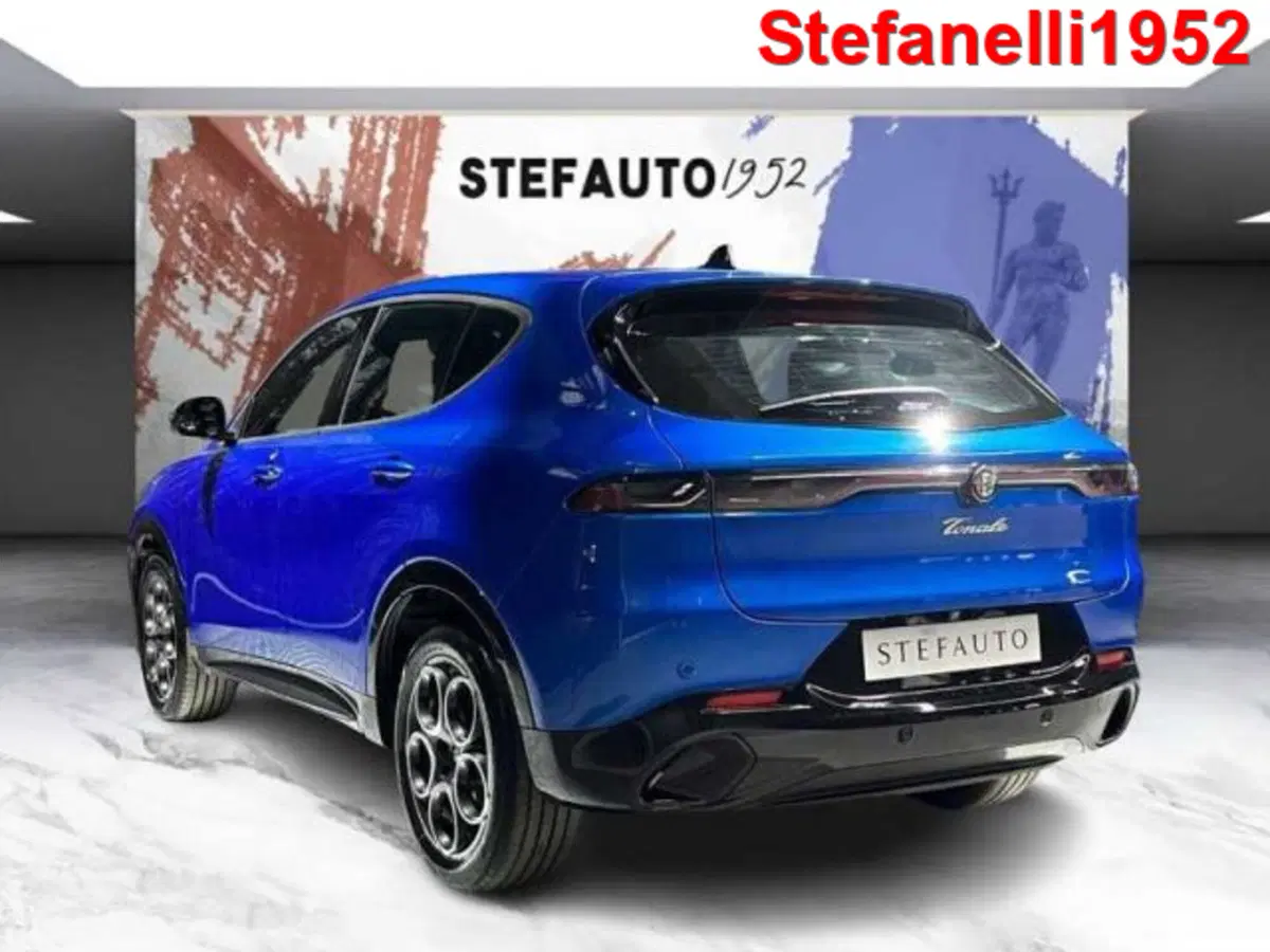 Alfa Romeo Tonale usata a Bologna (5)