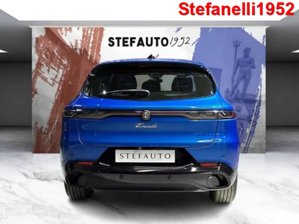 Alfa Romeo Tonale usata a Bologna (6)