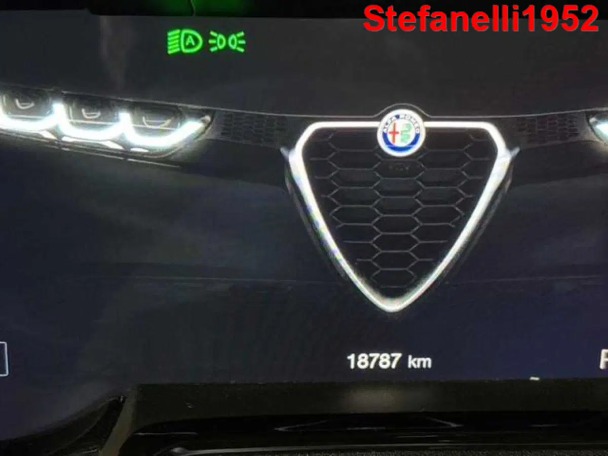 Alfa Romeo Tonale usata a Bologna (12)