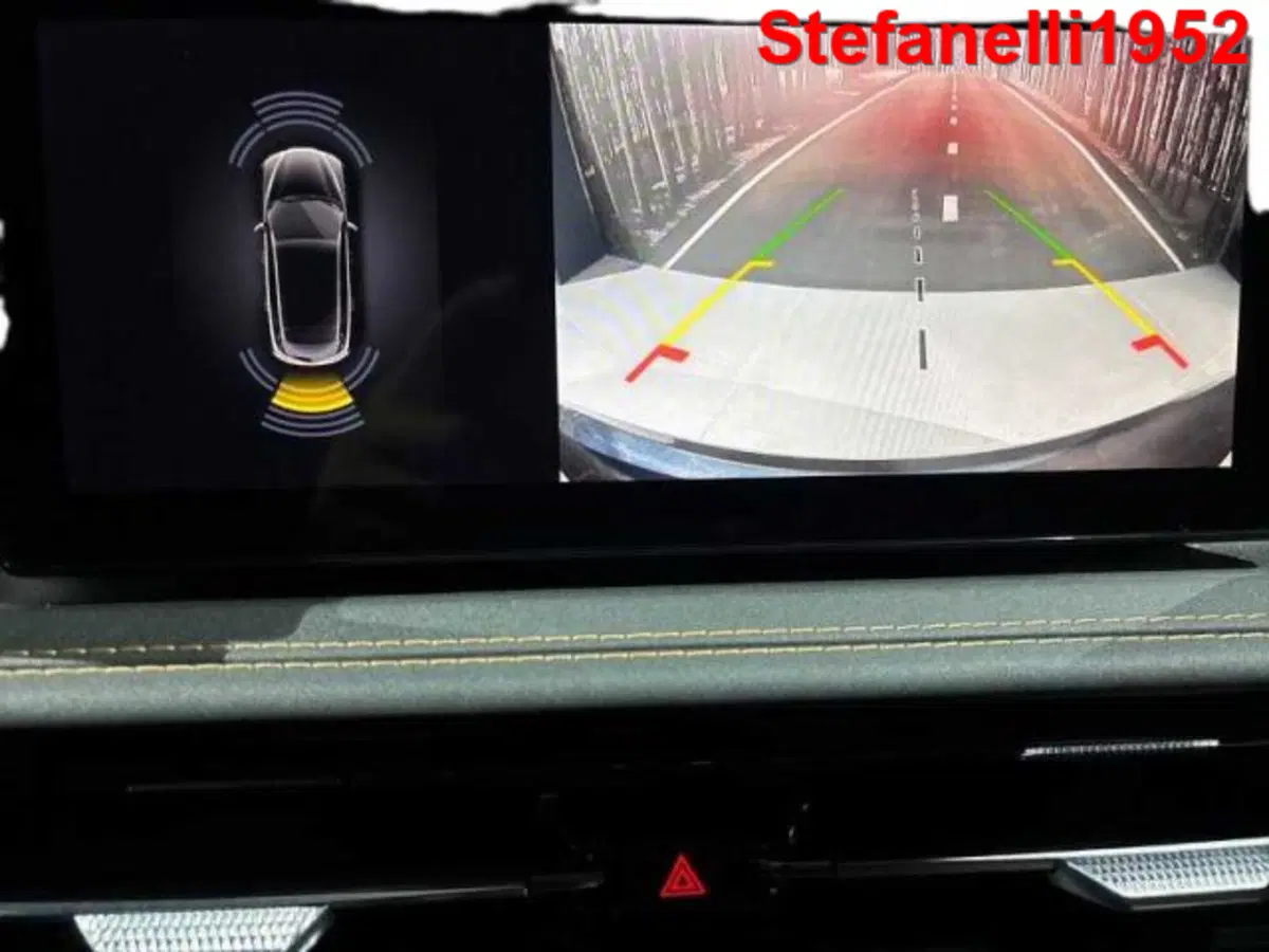 Alfa Romeo Tonale usata a Bologna (17)