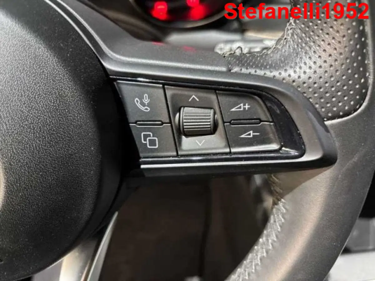 Alfa Romeo Tonale usata a Bologna (19)