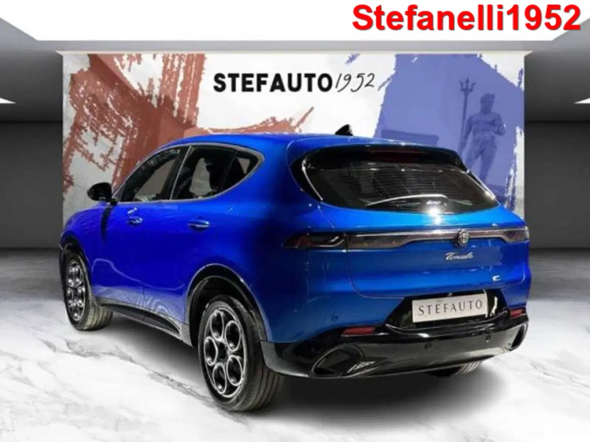 Alfa Romeo Tonale usata a Bologna (5)
