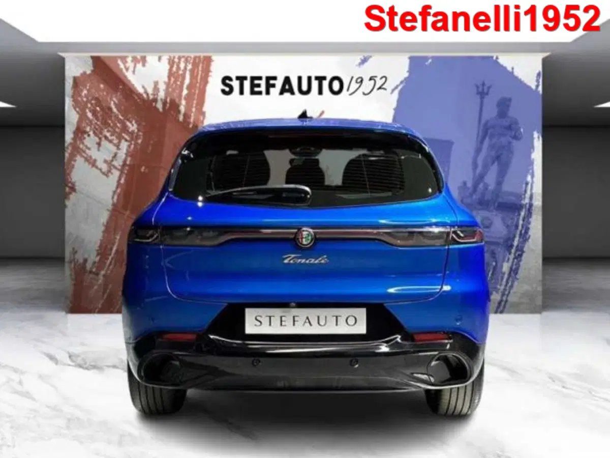 Alfa Romeo Tonale usata a Bologna (6)