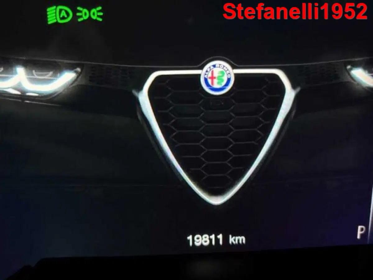 Alfa Romeo Tonale usata a Bologna (12)