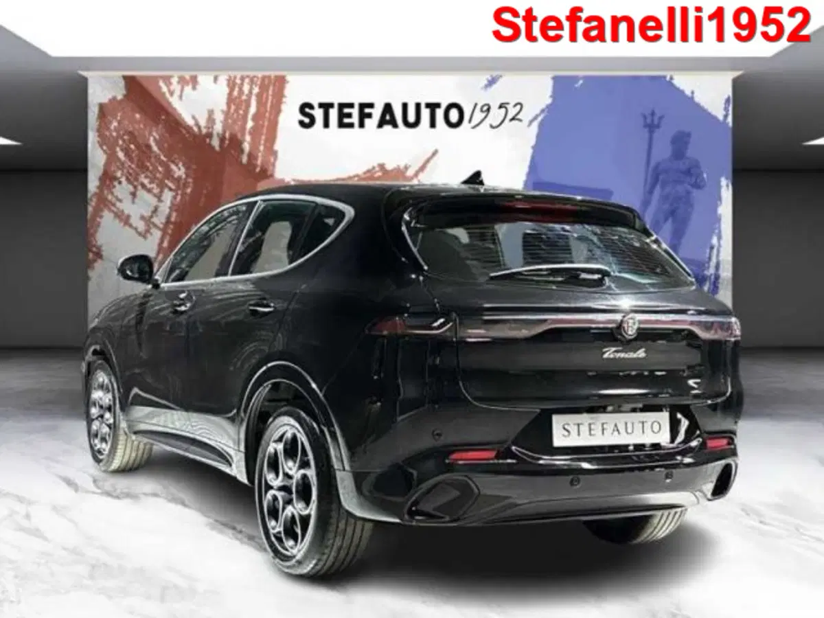 Alfa Romeo Tonale usata a Bologna (5)