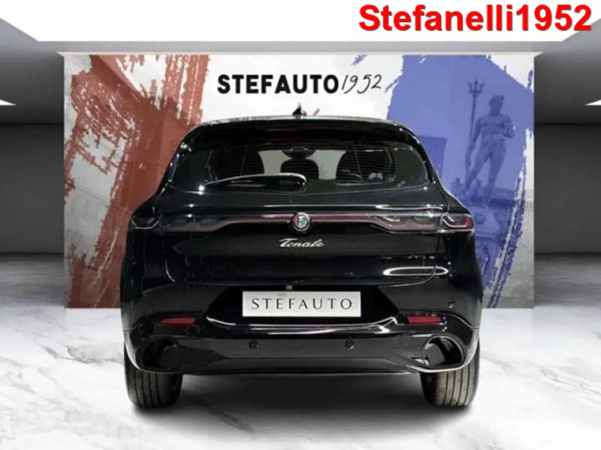 Alfa Romeo Tonale usata a Bologna (6)