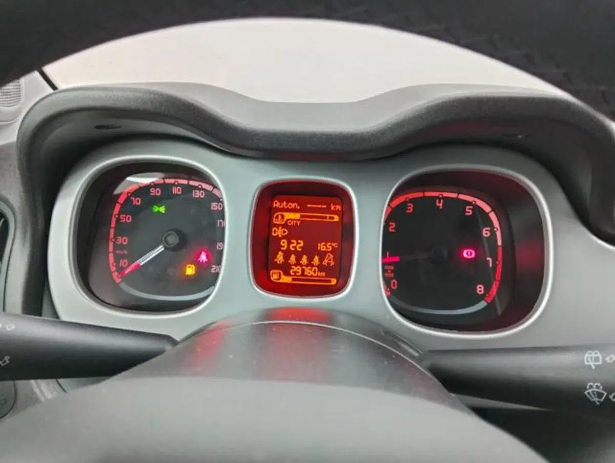 Fiat Panda Cross usata a Como (11)