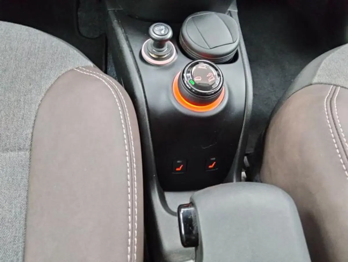 Fiat Panda Cross usata a Como (14)