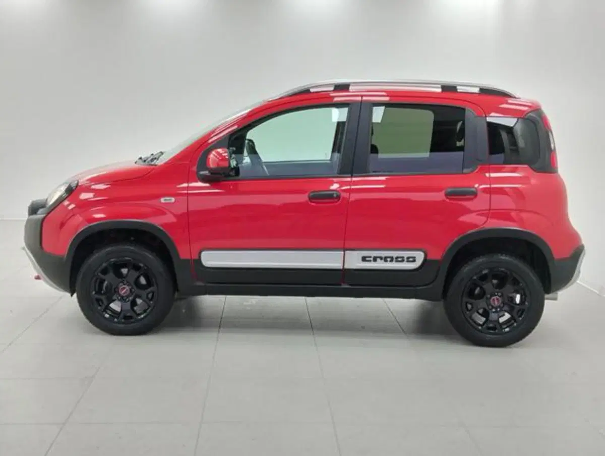 Fiat Panda Cross usata a Como (8)