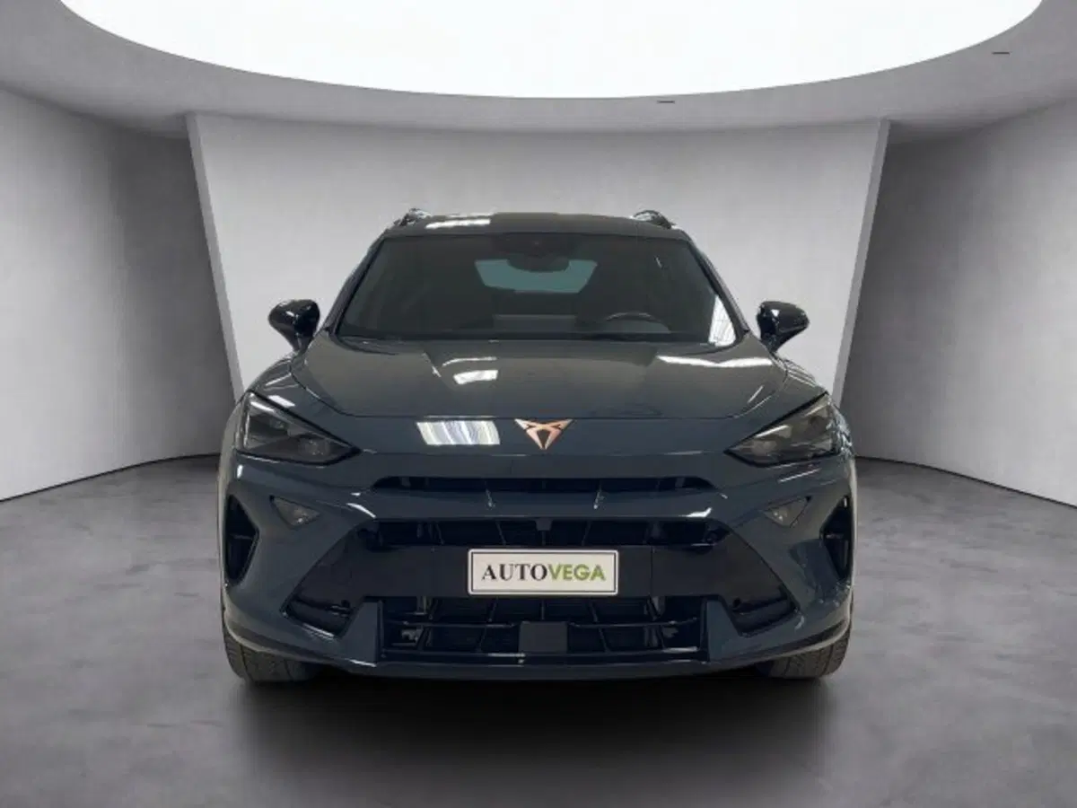 Cupra Formentor usata a Vicenza (2)