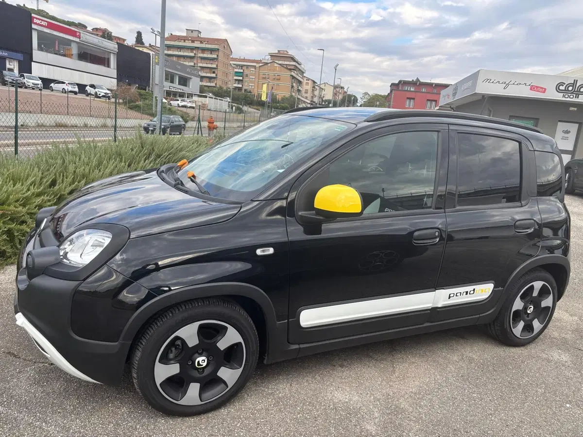 Fiat Panda Cross usata a Perugia (2)