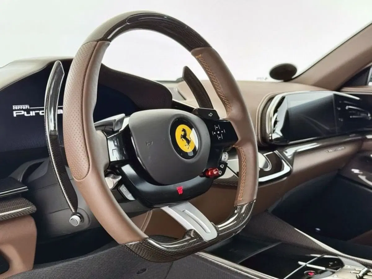 Ferrari Purosangue usata a Perugia (17)